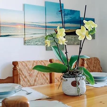 Casa Al Muretto Apartment Porto Cesareo