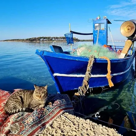 Casa Al Muretto * Porto Cesareo